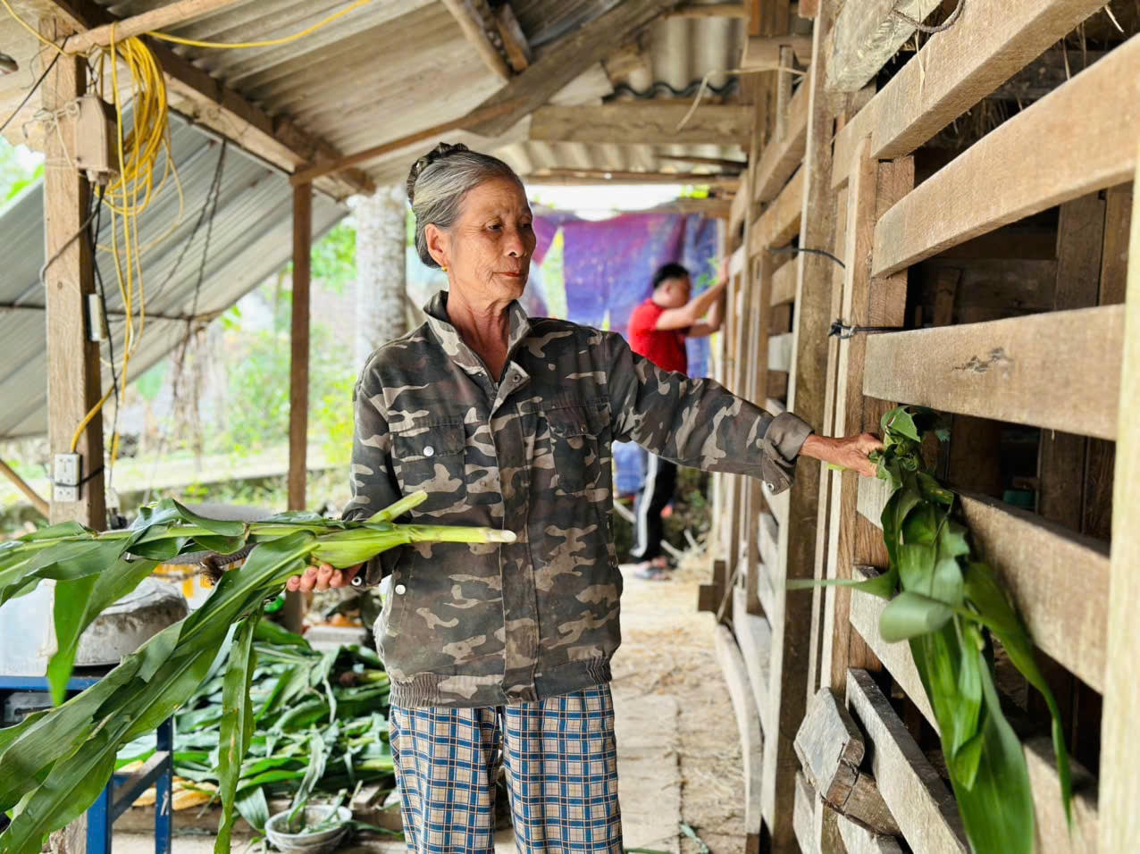 Nghề nuôi hươu lấy lộc nhung giúp người dân miền núi Hương Sơn, Hà Tĩnh nâng cao thu nhập, đời sống ngày càng sung túc.