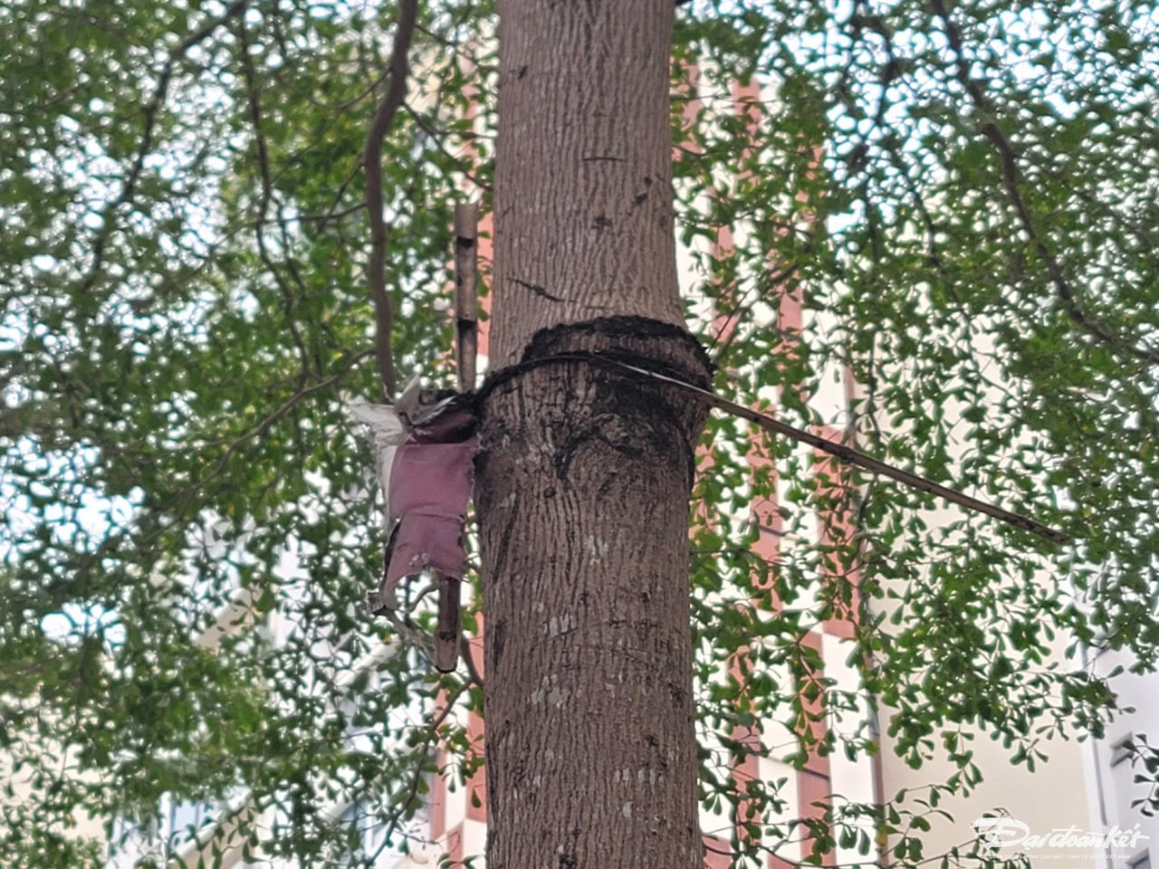 W_a9a71b0cbf1915474c08.jpg