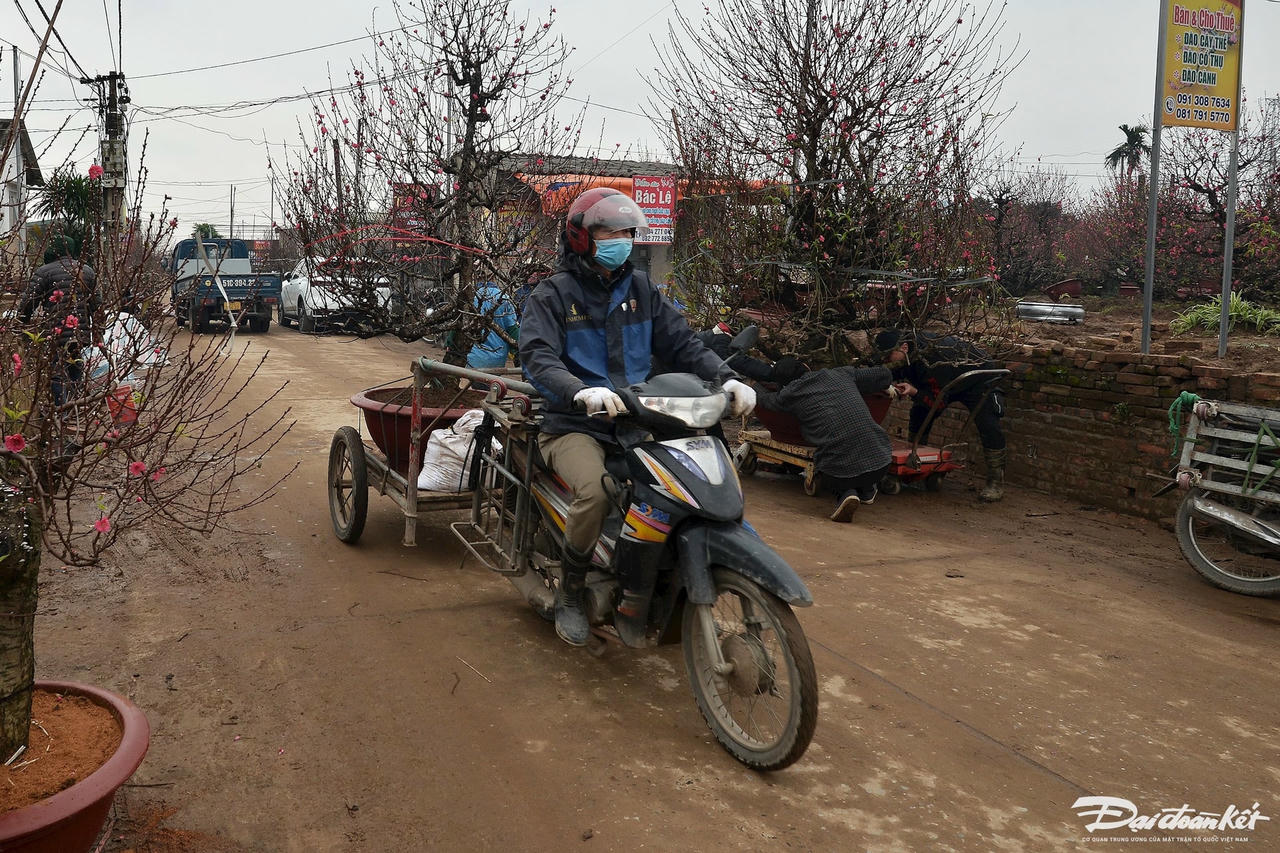W_dao_nhat_tan-le-khanh12.jpg