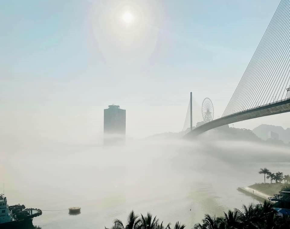 431004092_745255701083542_1310447320098692257_n.jpg