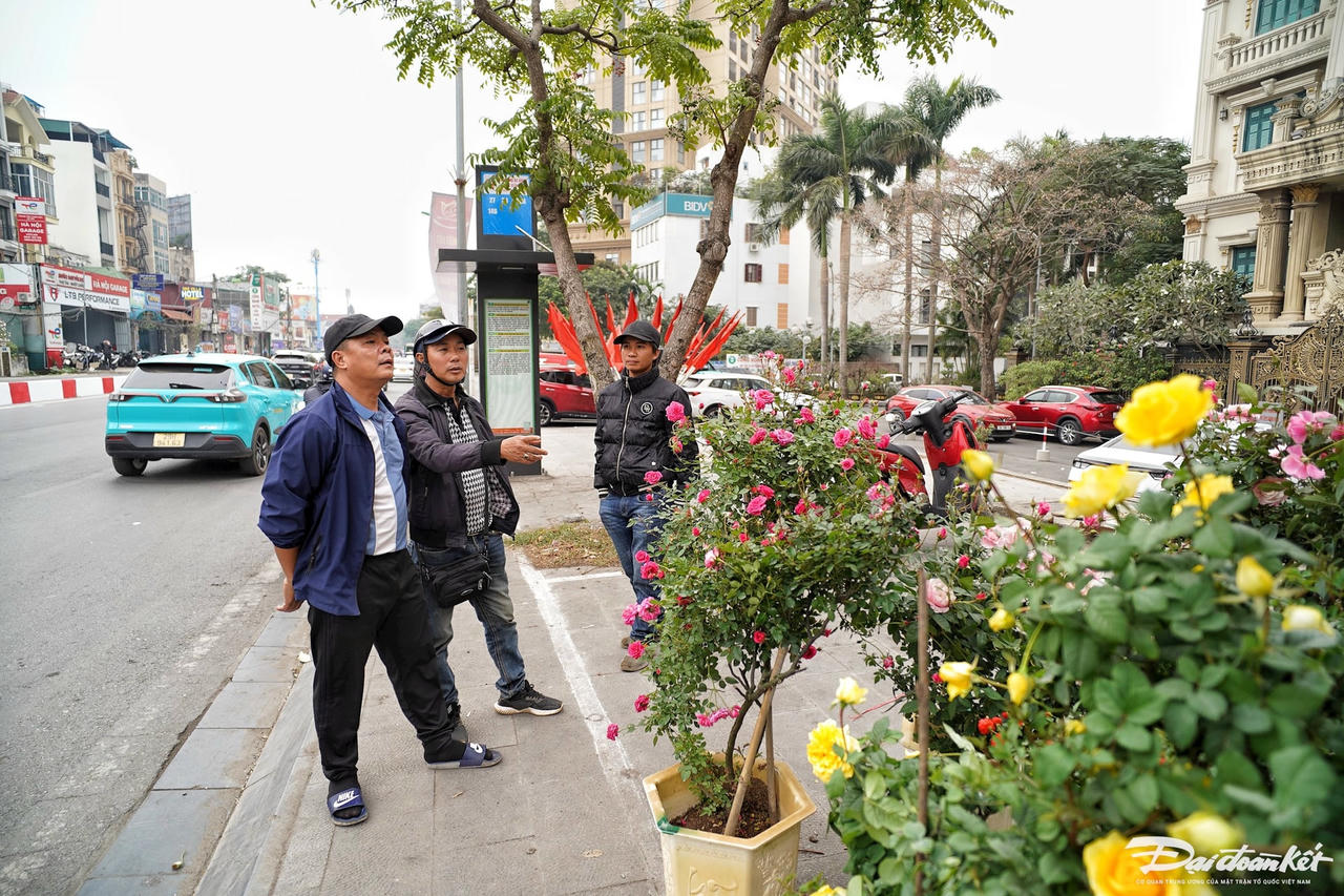 dao_quat-le-khanh4.jpg