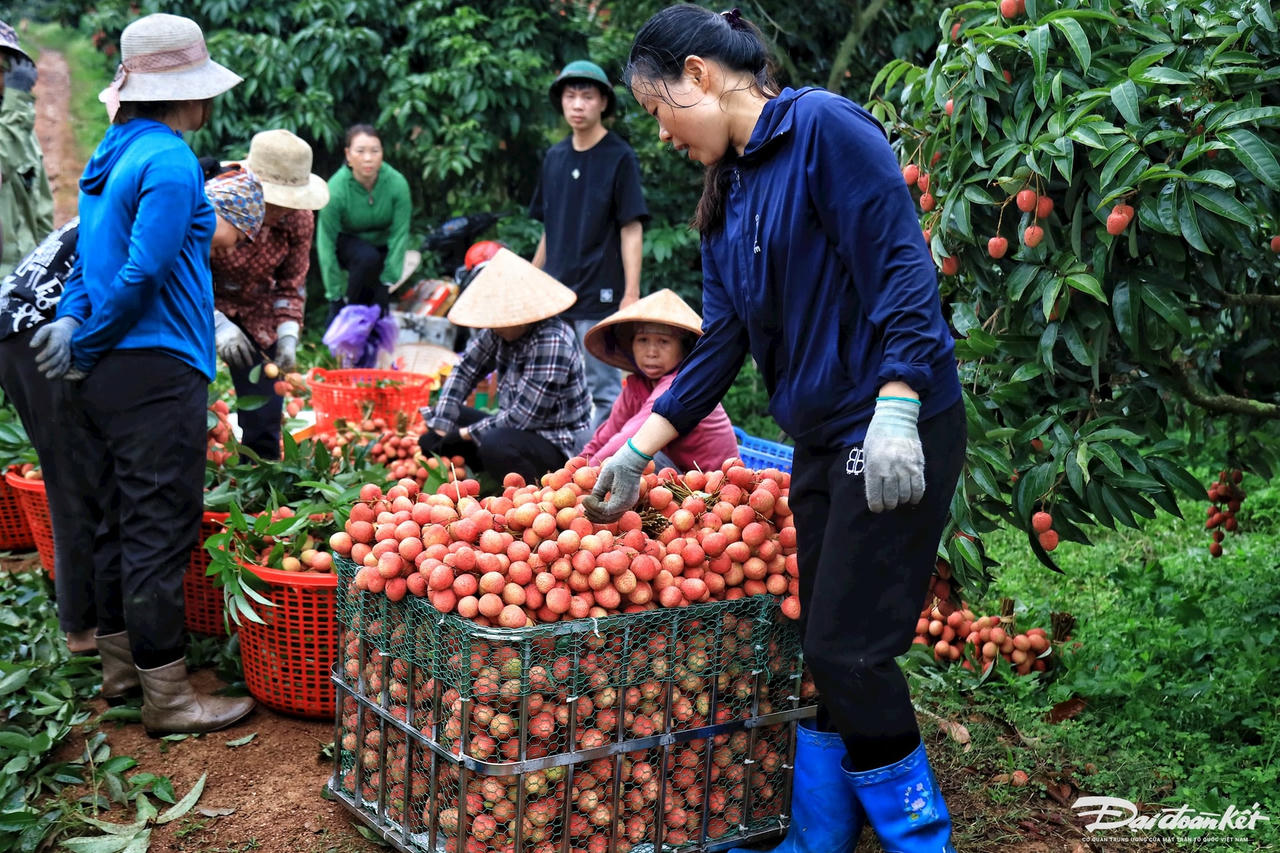 vai_thieu-le-khanh29.jpg