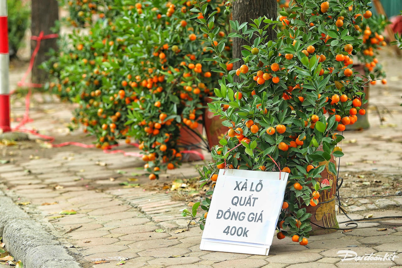 W_dao_quat_xa_lo-le-khanh2.jpg