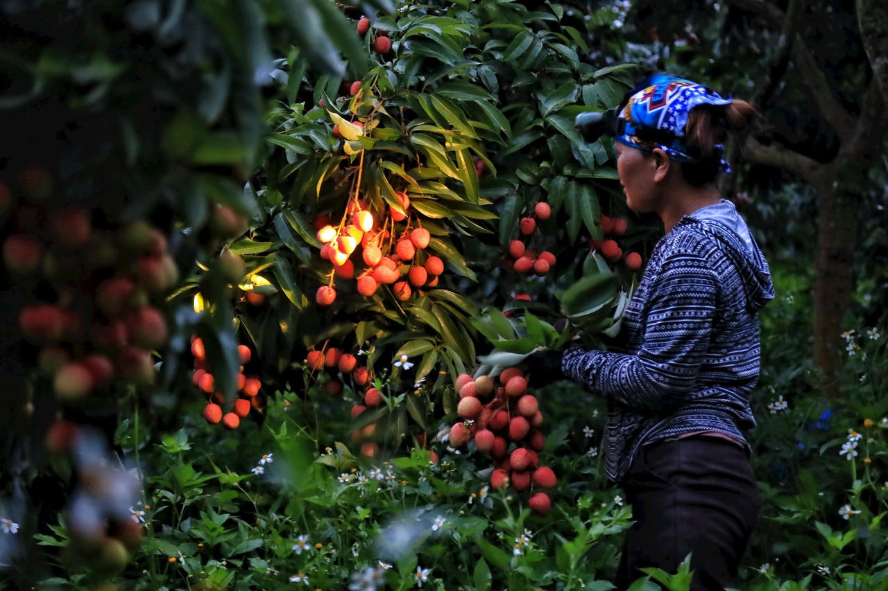 vai_thieu-le-khanh16-258544e60982e469b0177d81720fe5f3.jpg
