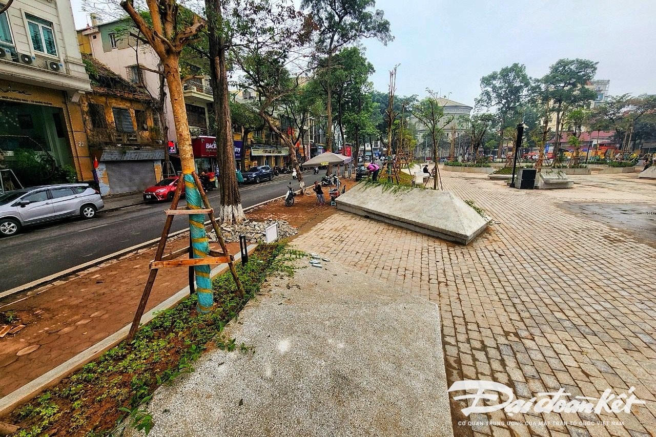 W_vuon_hoa_hang_dau-le-khanh3.jpg