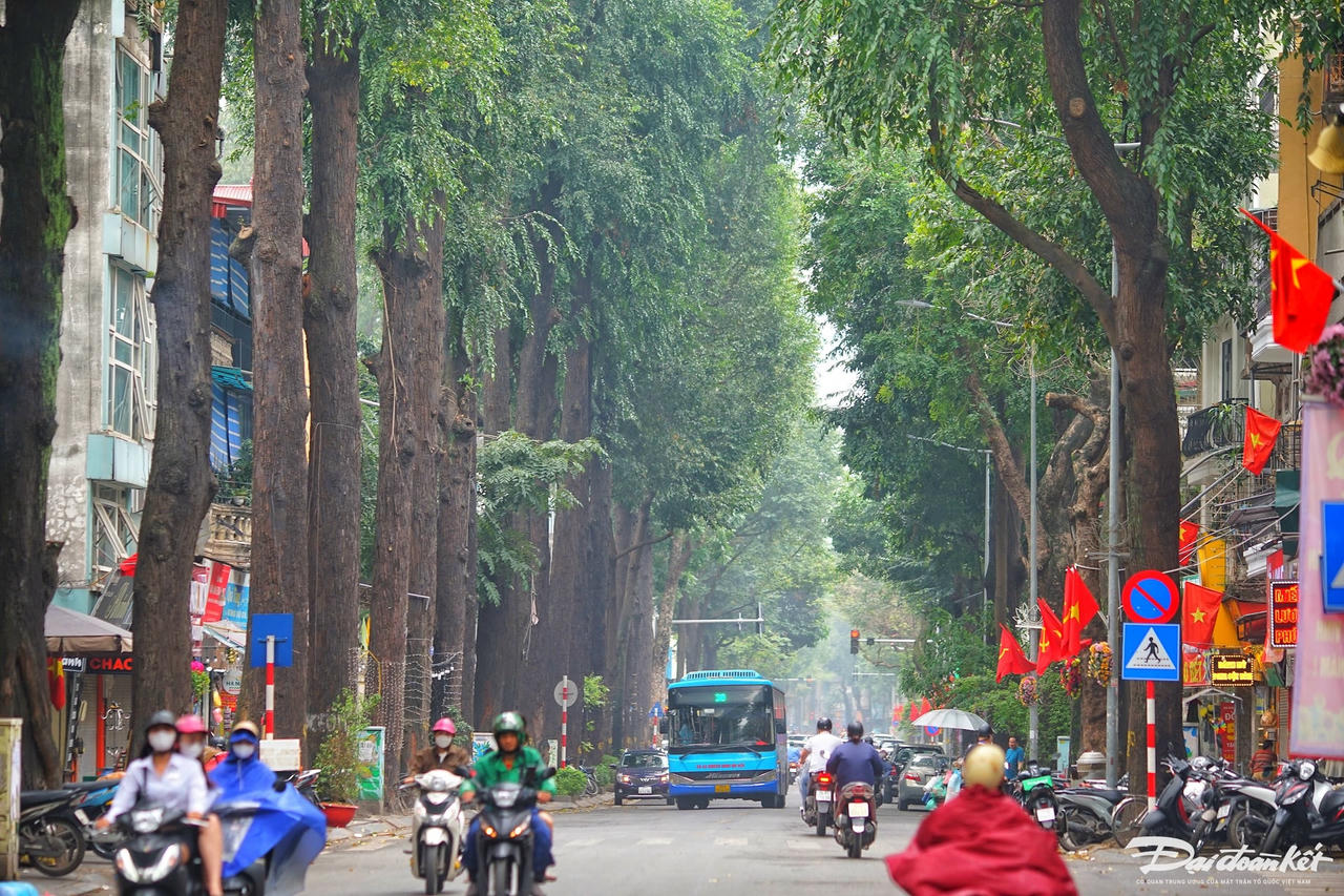 hang_cay_sao_den-le-khanh1.jpg
