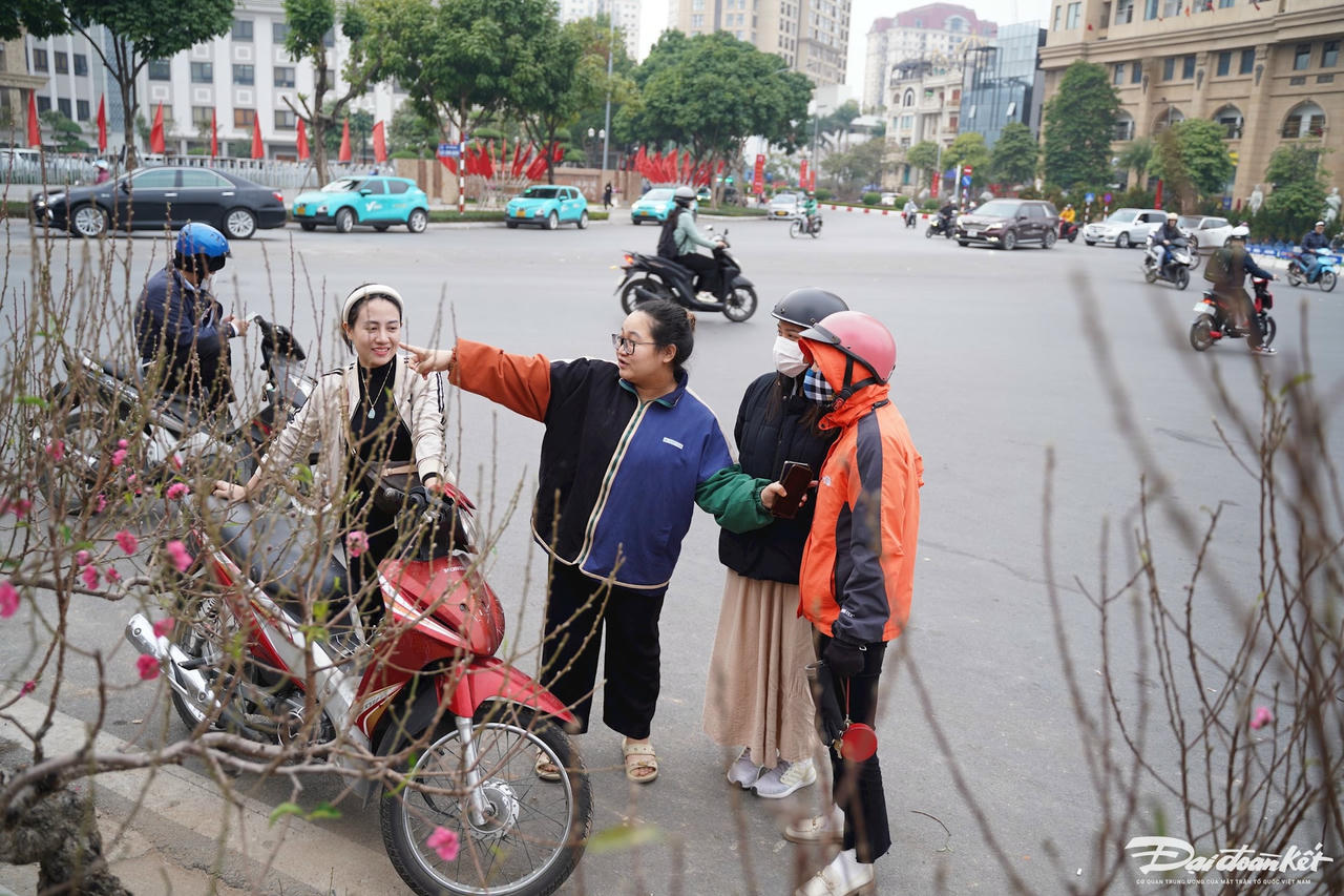 dao_quat-le-khanh13.jpg