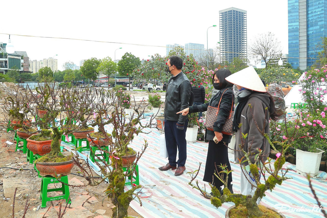 W_hoa_nhat_chi_mai-le-khanh9.jpg