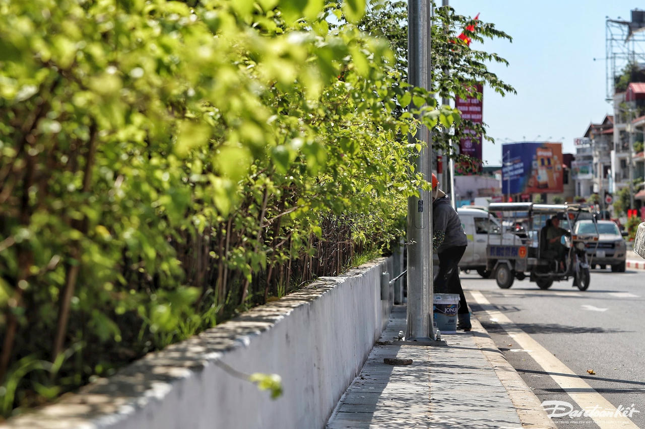 hinh_hai_duong_au_co-le-khanh20(1).jpg