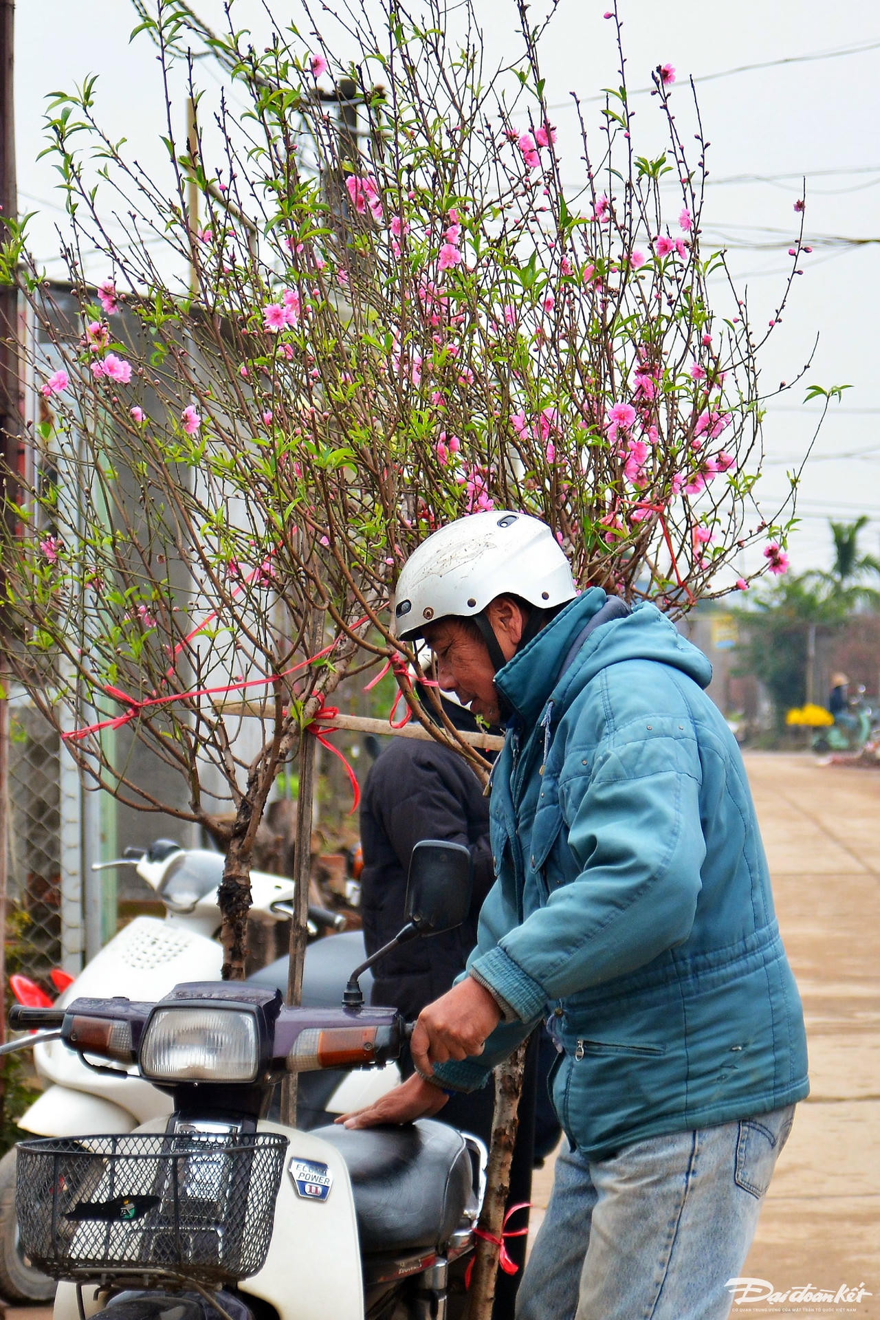 W_dao_nhat_tan-le-khanh8.jpg