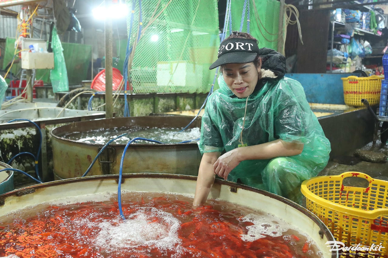 W_ca_chep_ong_cong_ong_tao-le-khanh14.jpg