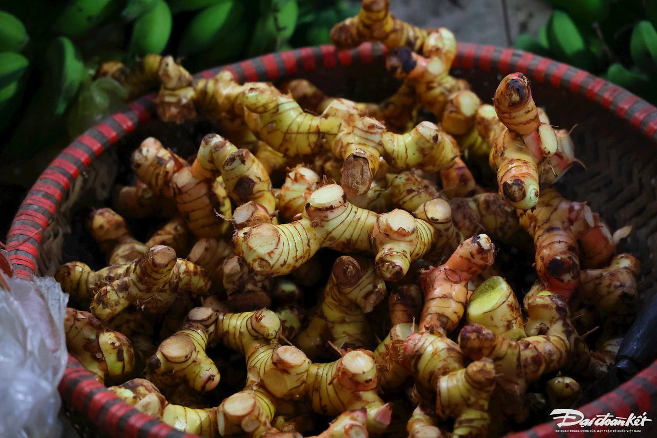 W_ca-kho-lang-vu-dai_le-khanh8.jpg