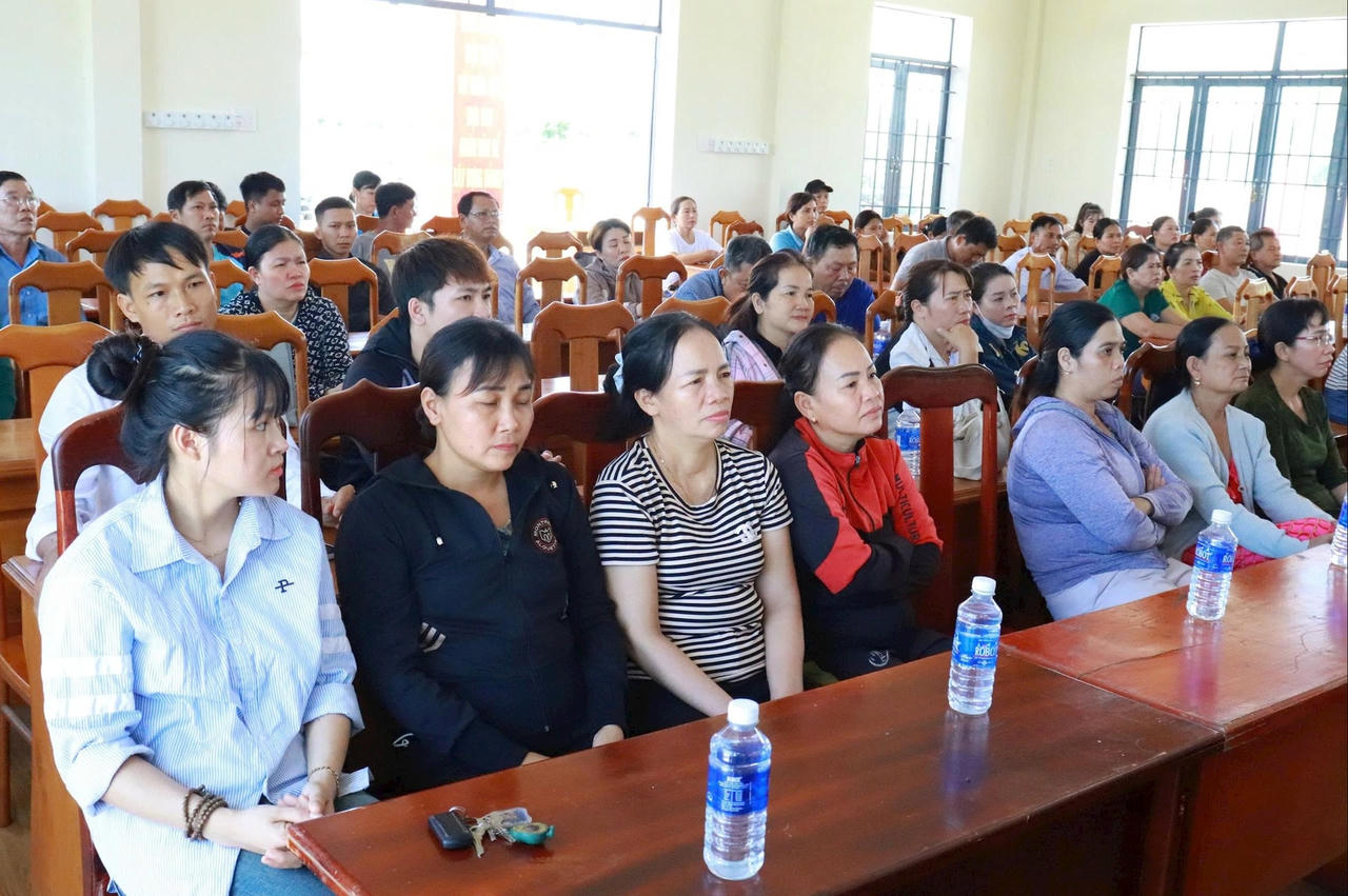 GIA LAI 2