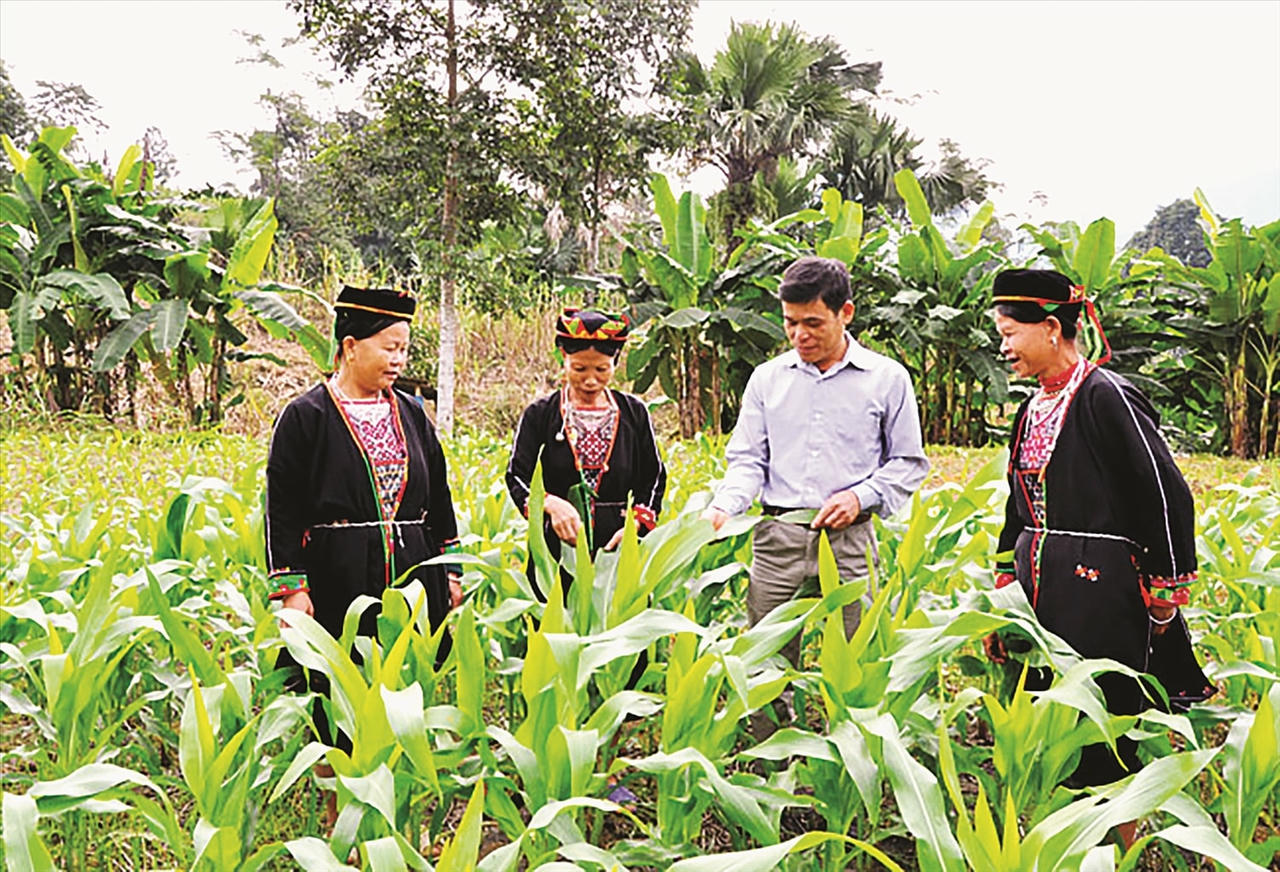 Chương trình Mục tiêu quốc gia sẽ góp phần tạo sinh kế, giúp đồng bào DTTS phát triển bền vững.
