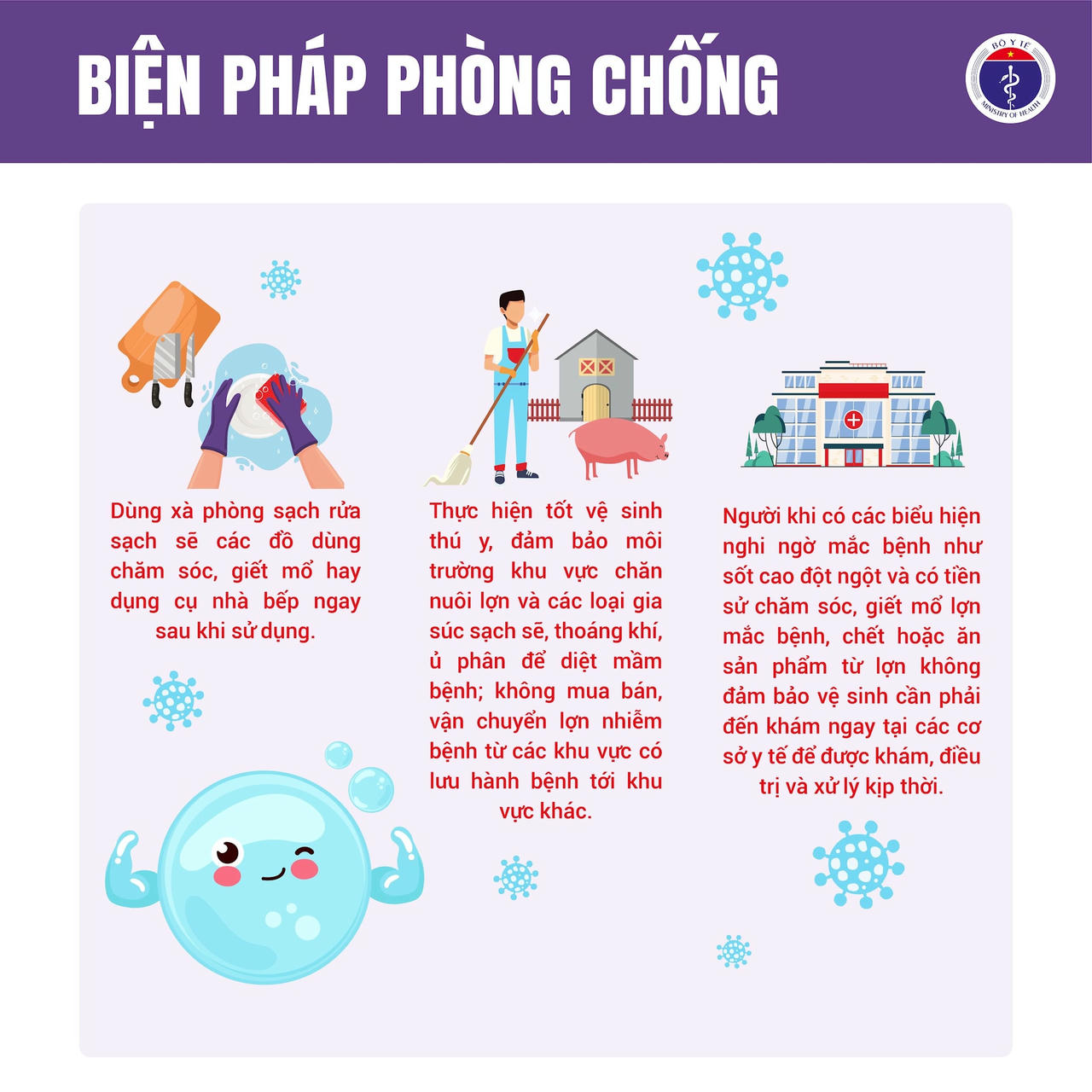 Liên cầu lợn 5