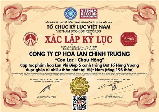hoa-lan.jpg