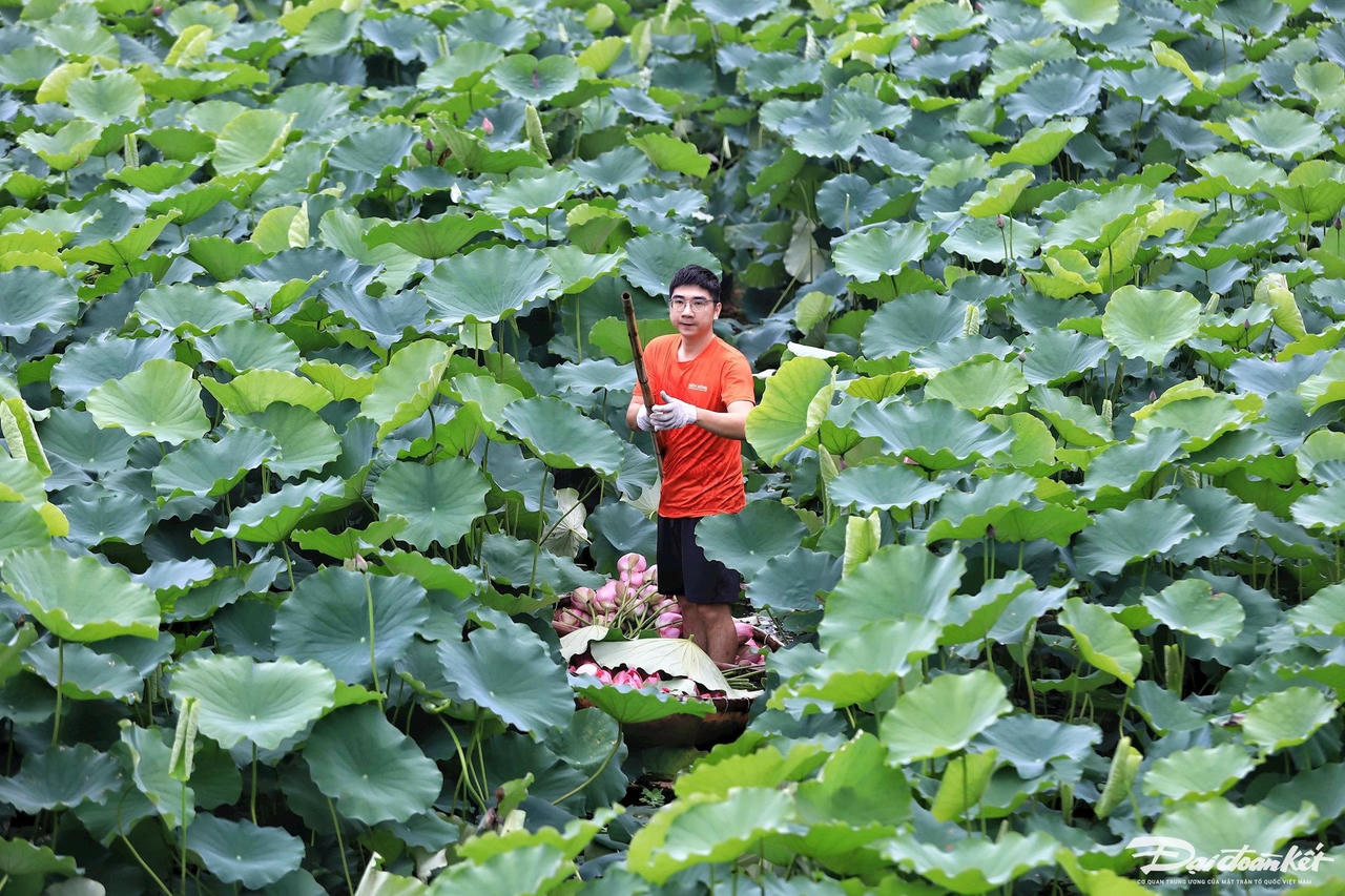 sen_bach_diep_ho_tay-le-khanh7-1-.jpg
