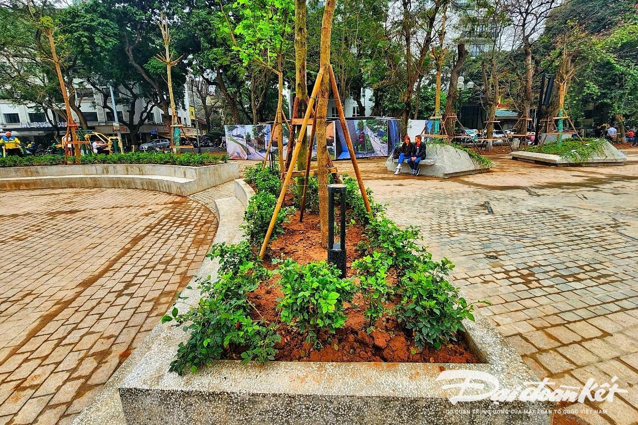 W_vuon_hoa_hang_dau-le-khanh2.jpg