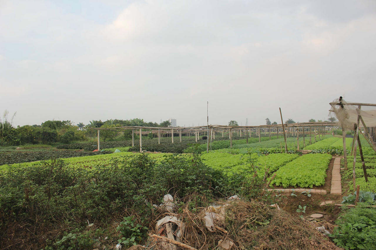 khu-cong-nghe-sinh-hoc-cao-12-.jpg