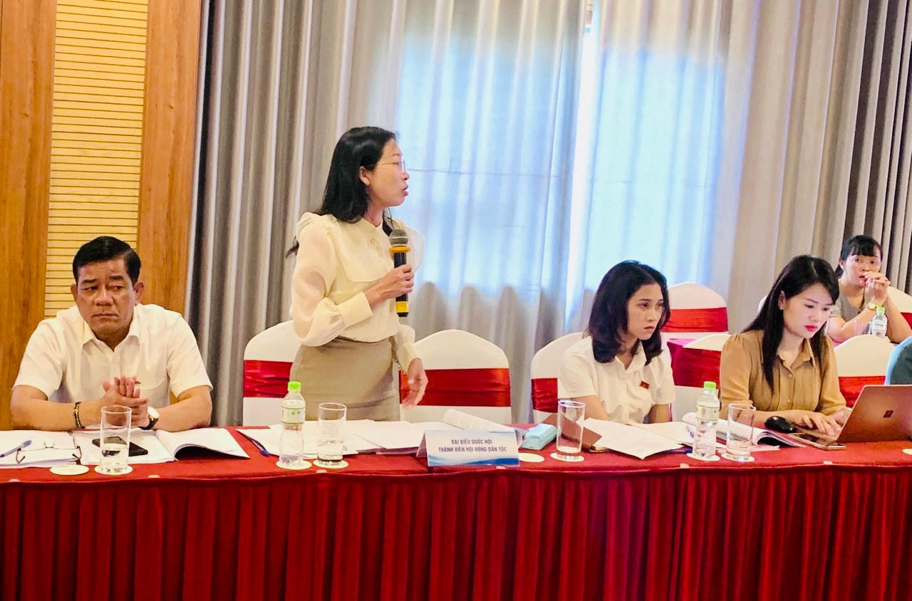 Đại biểu thảo luận tại phiên họp.