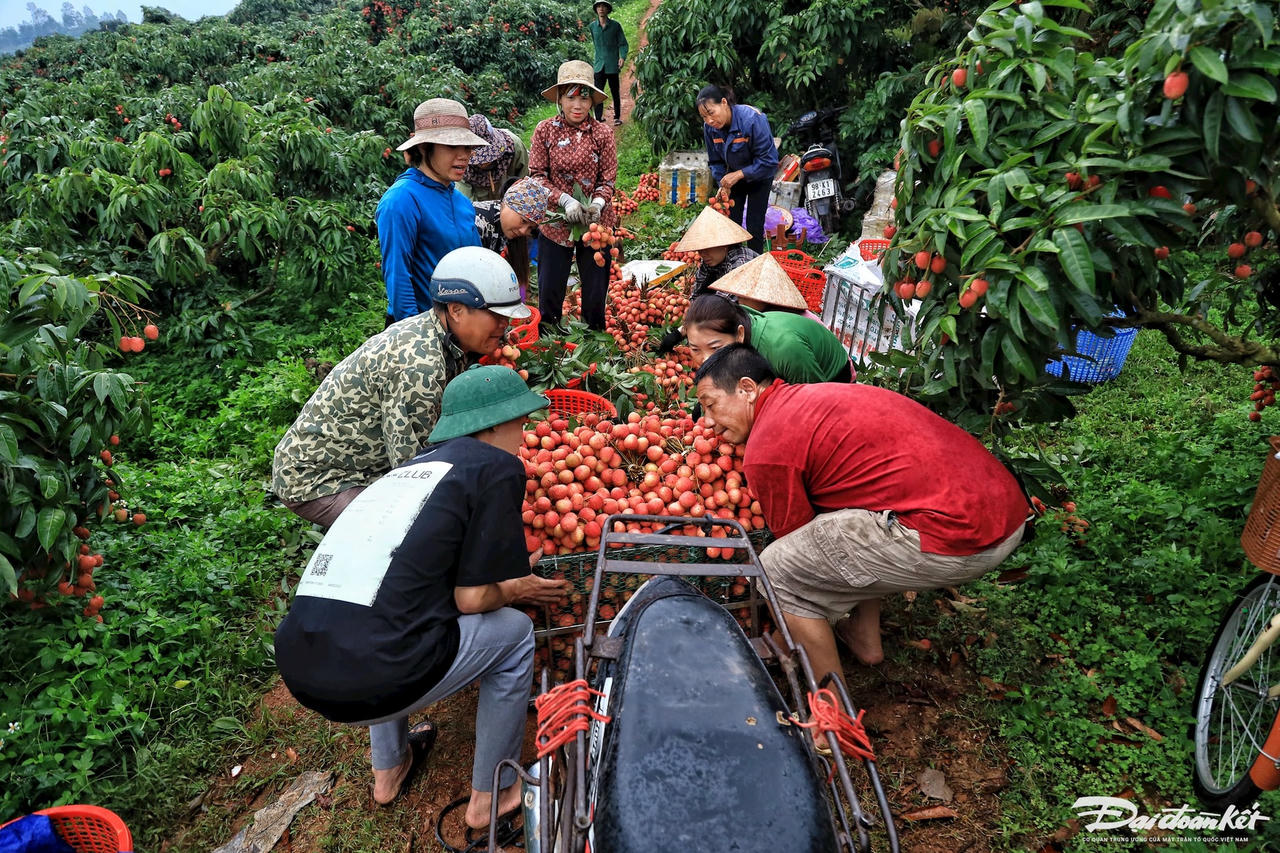 vai_thieu-le-khanh31.jpg