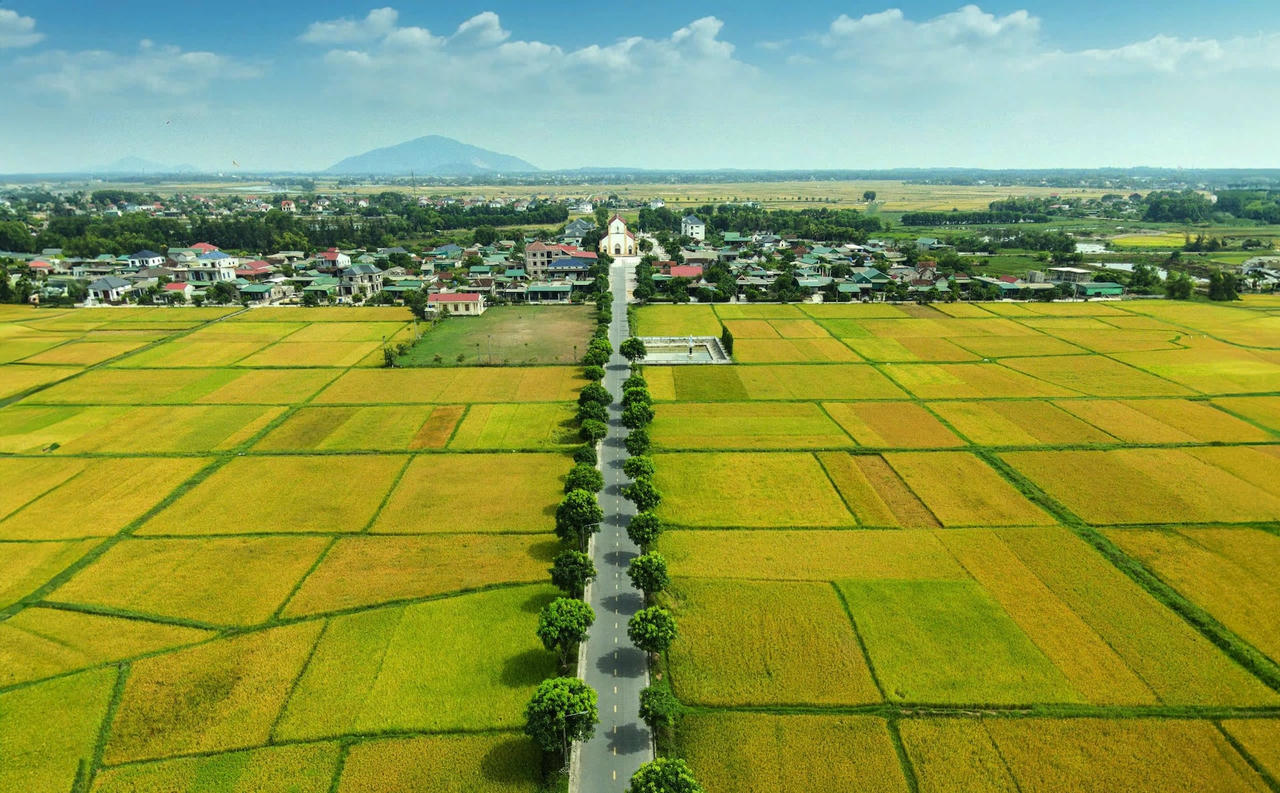 muagat1.jpg