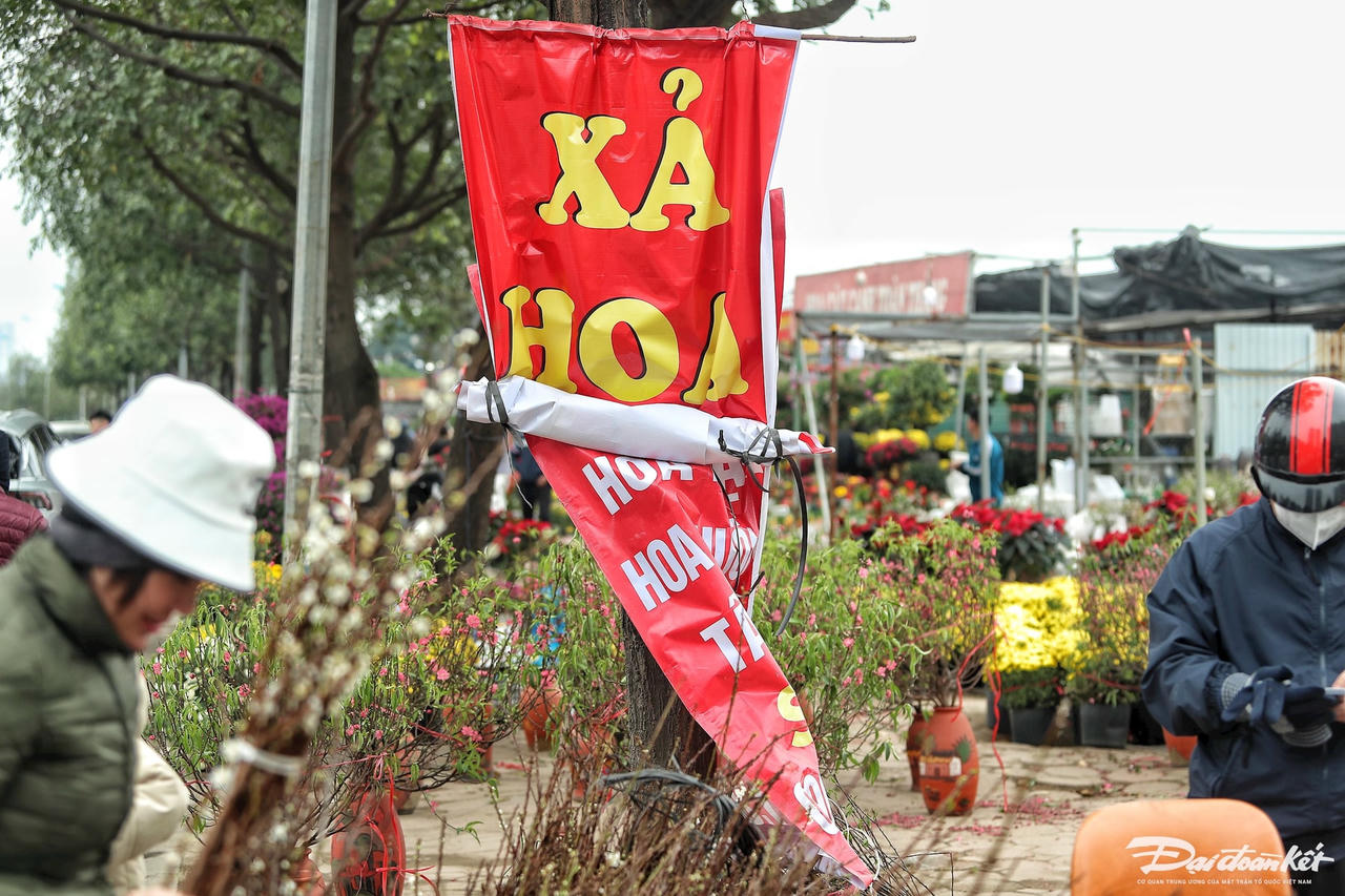 W_dao_quat_xa_lo-le-khanh14.jpg