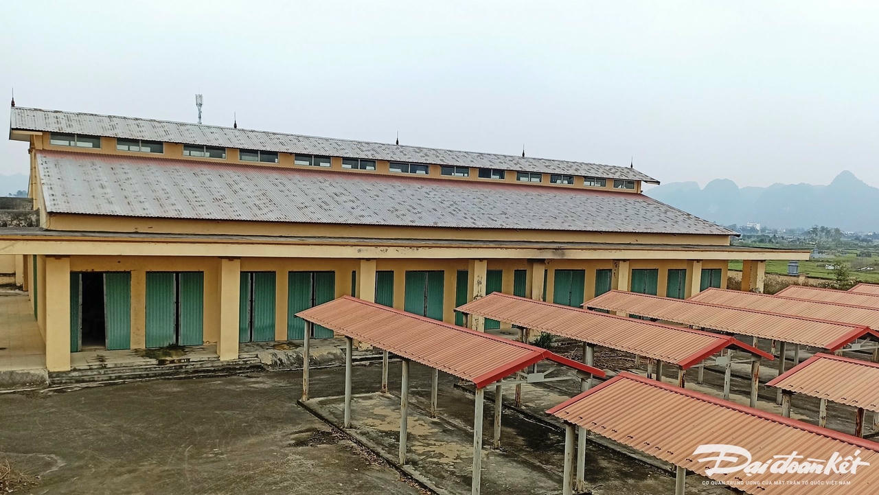 image.daidoanket.vn-images-upload-nghipm-03202023-_anh-bai-duoi-bc82.jpg