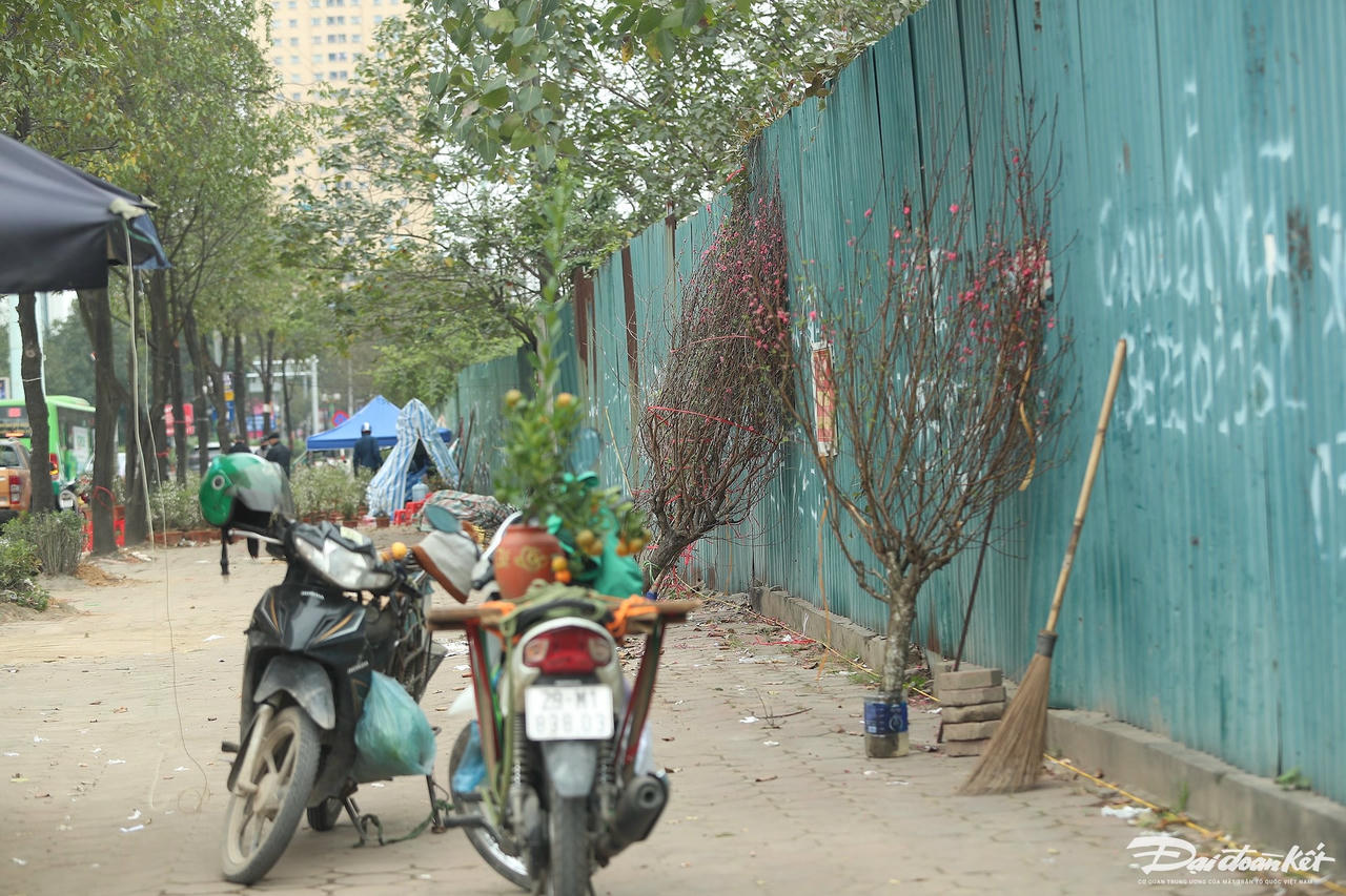 W_dao_quat_xa_lo-le-khanh11.jpg