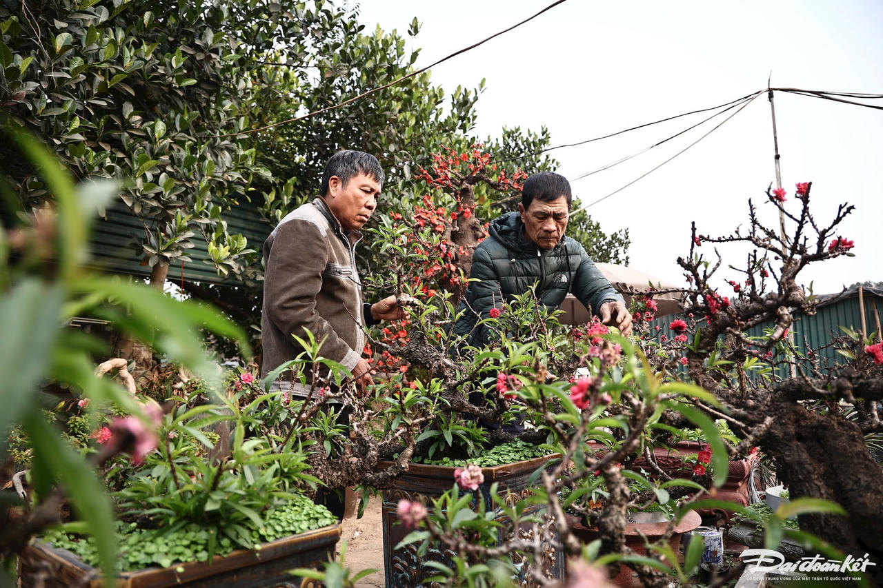 dao_that_thon-le-khanh11.jpg