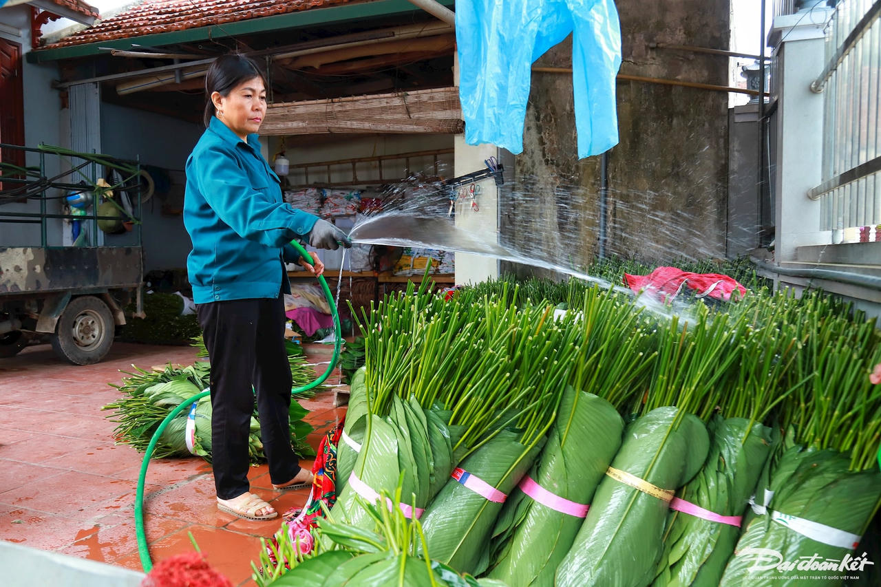 W_la-dong_le-khanh8.jpg