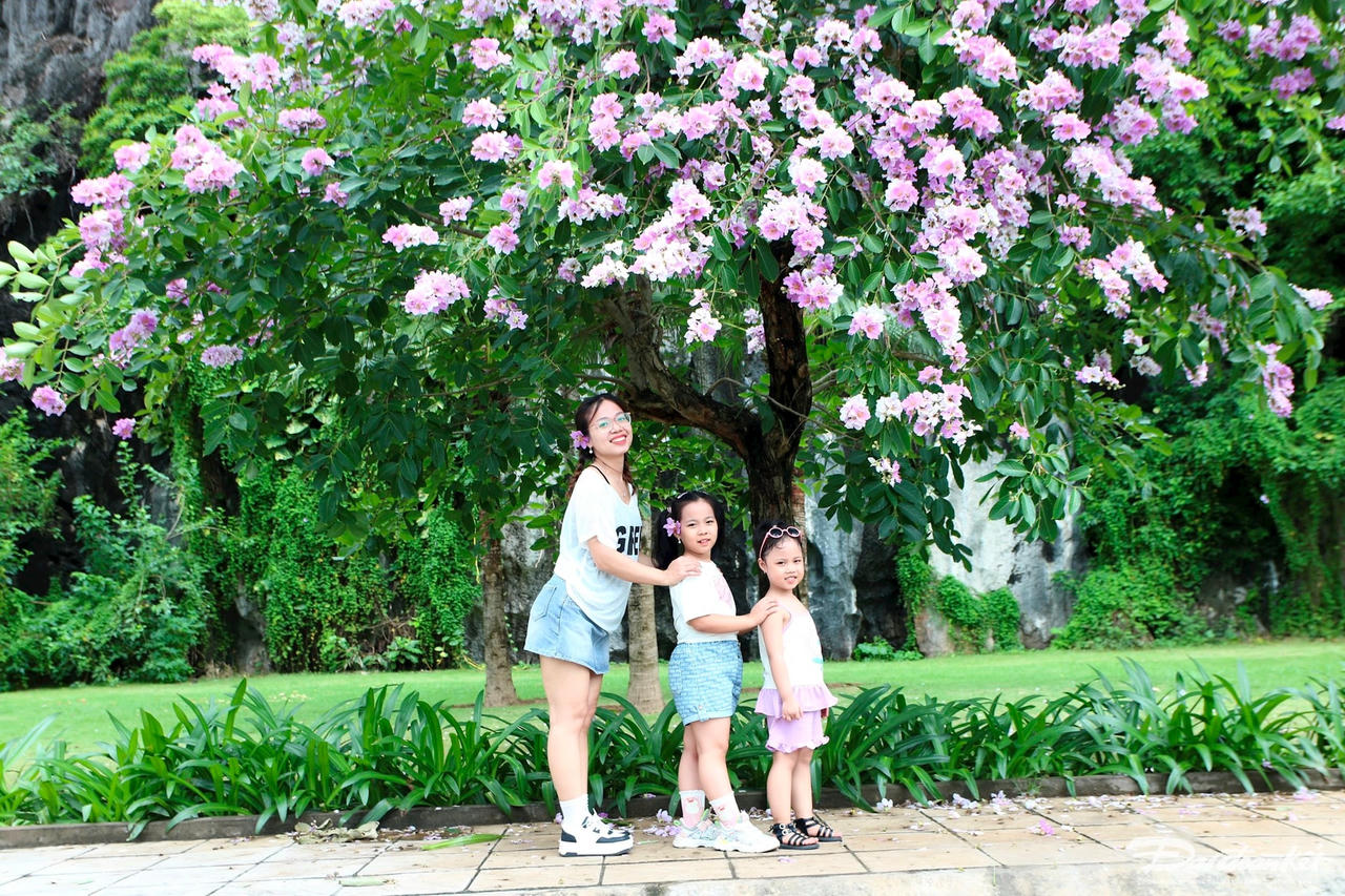 z5484017141667_a7fb0ae00f8cd48a9359325fc9310b18.jpg