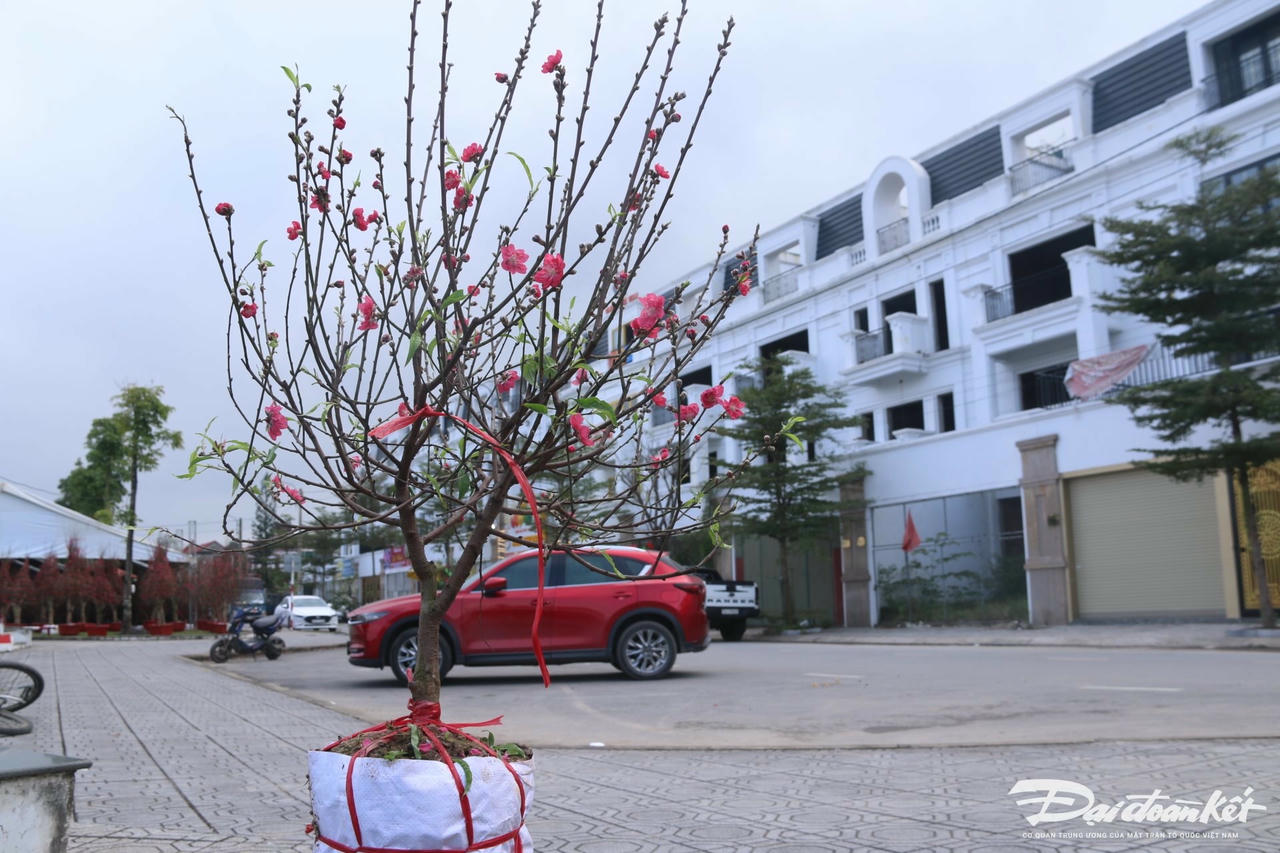 W_anh-9.3.jpg