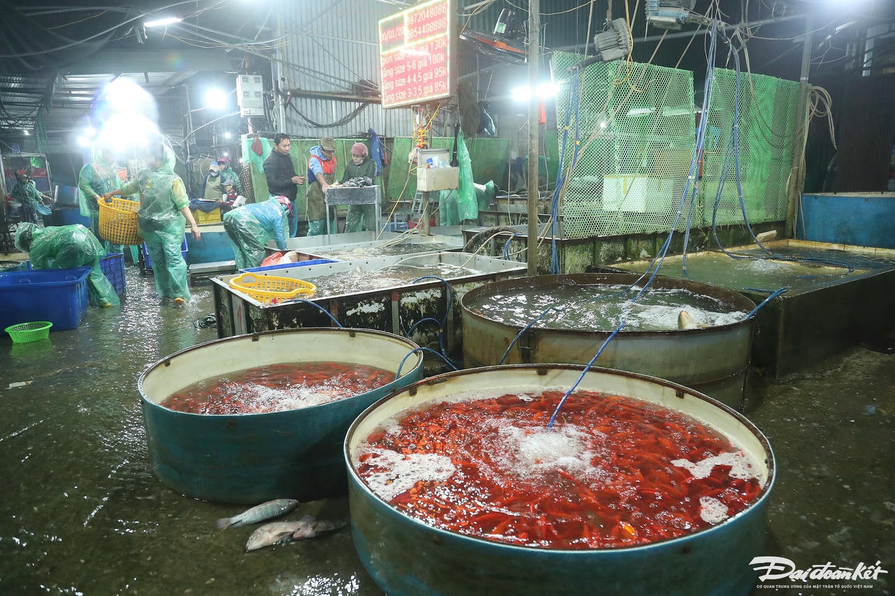 W_ca_chep_ong_cong_ong_tao-le-khanh10.jpg