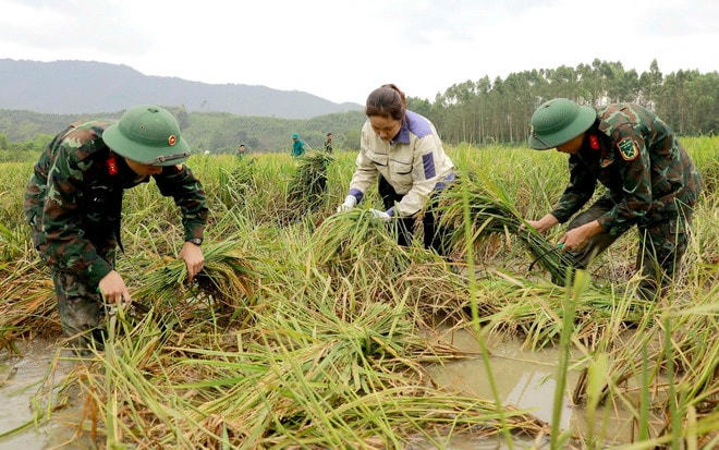 bo-doi-cu-ho-14.jpg