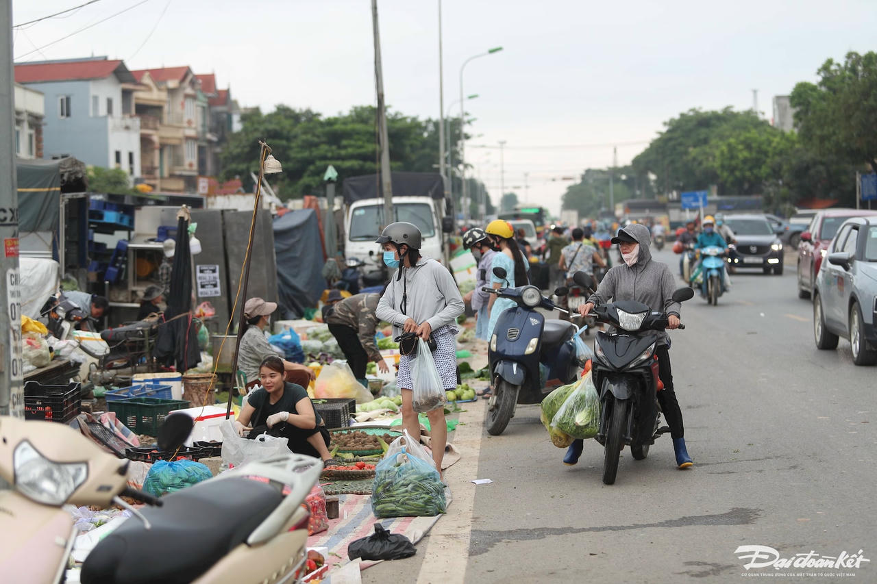 cho-mai-linh17.jpg