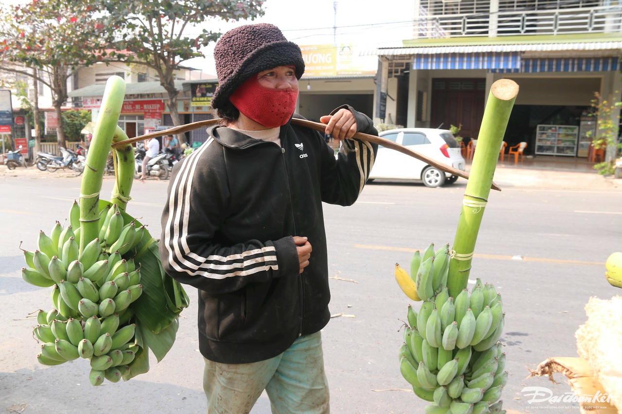 W_anh-6.5.jpg