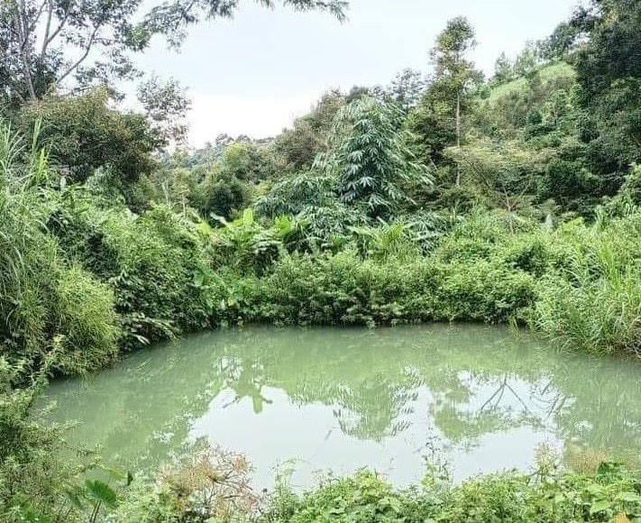 Hồ chứa nước tưới cá phê của người dân. Ảnh Minh họa.