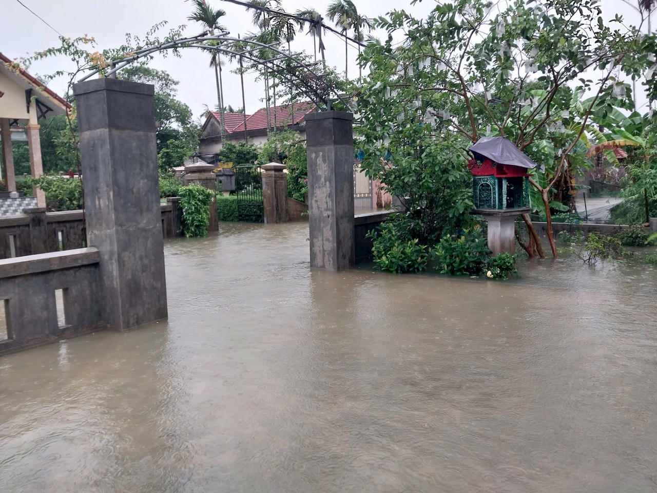 Mưa lớn khiến 