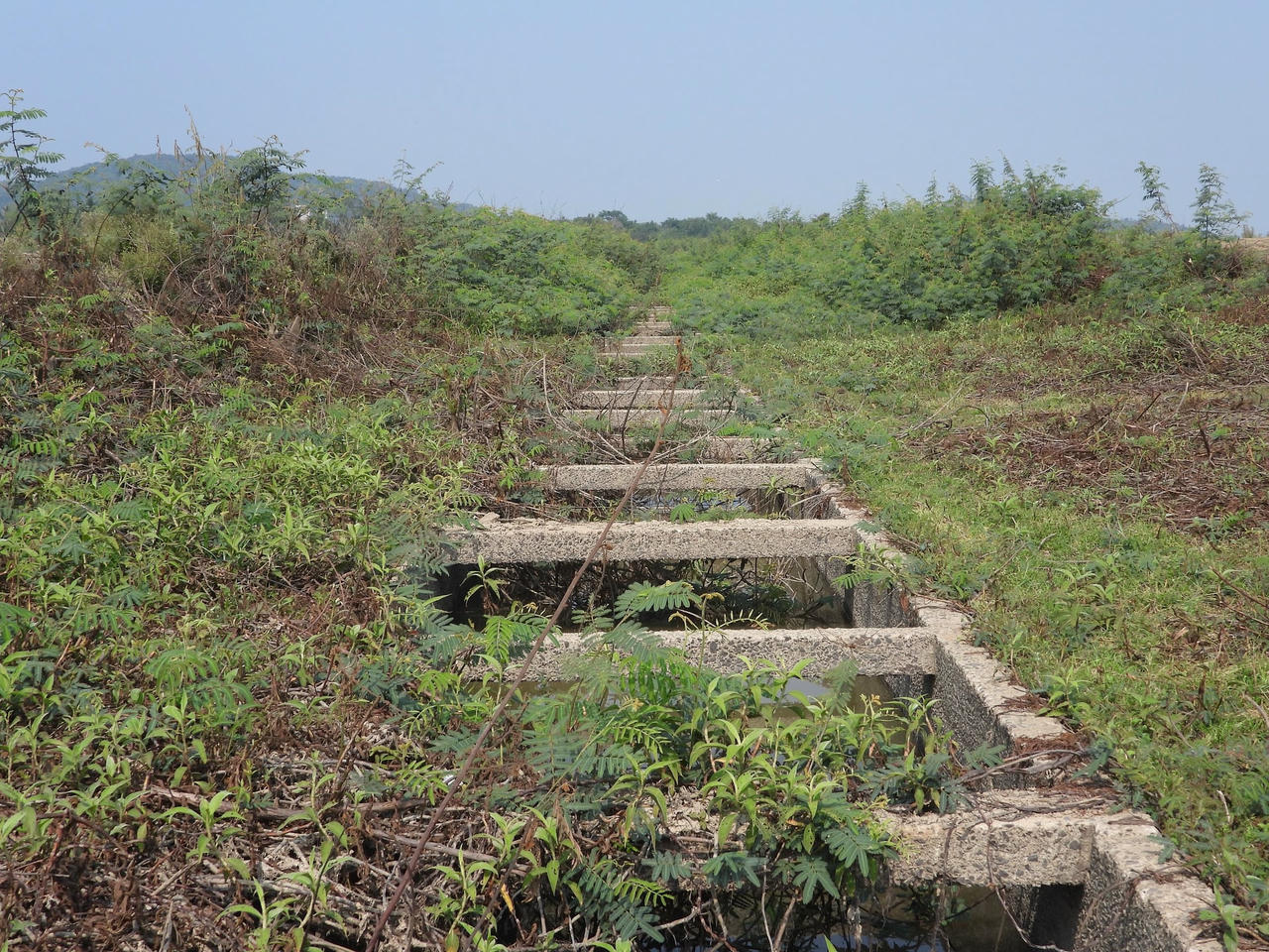 dscn7029.jpg