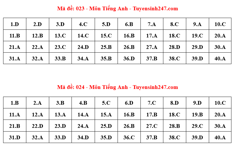 đề 12