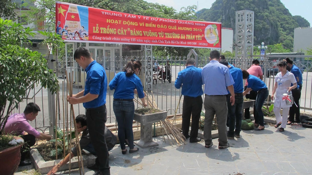3 cây bàng vuông được trồng vào đúng dịp kỷ niệm sinh nhật Bác Hồ 19/5/2015.