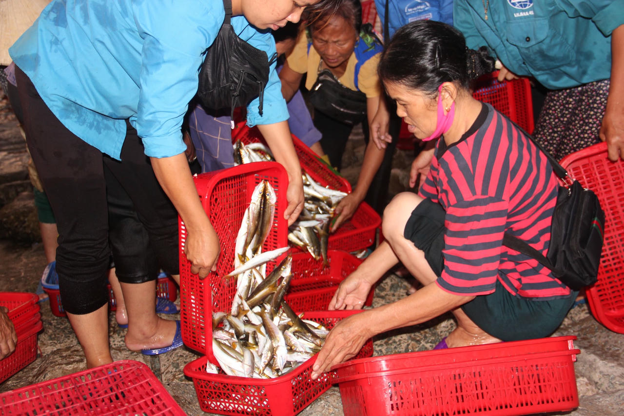 Mẻ cá tươi ngon sau khi được ngã giá.
