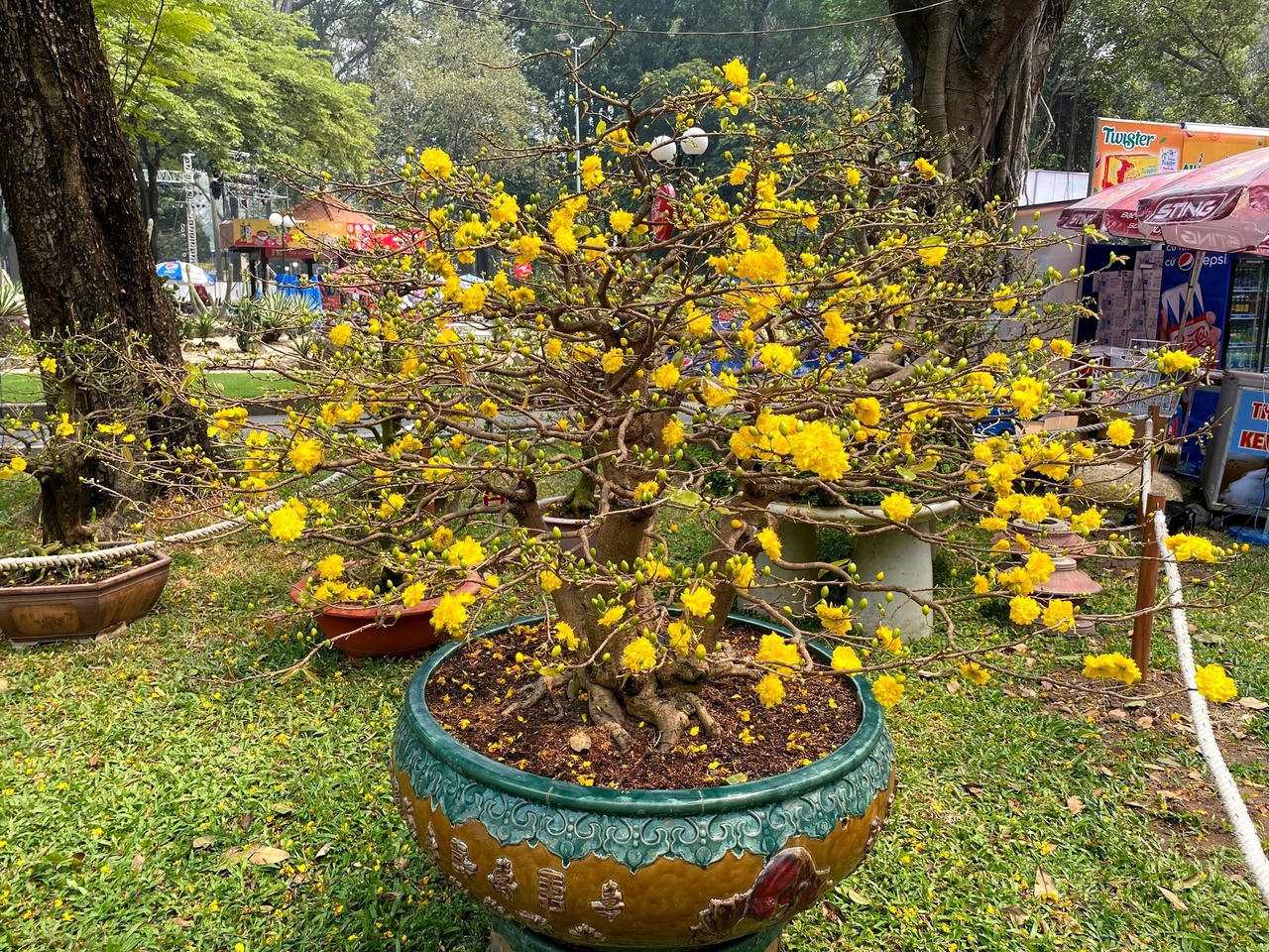 Nhiều