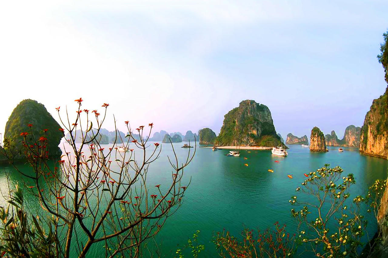 Vịnh Hạ Long đẹp dưới mỗi góc nhìn. Ảnh: Đỗ Phương