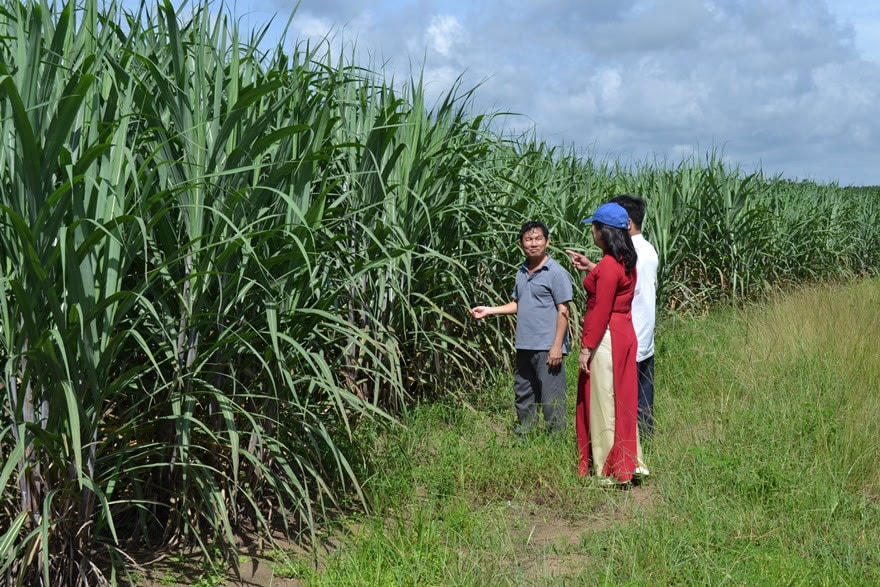 Từ nguồn vốn Agribank nhiều hộ gia đình đã vươn lên làm giầu.