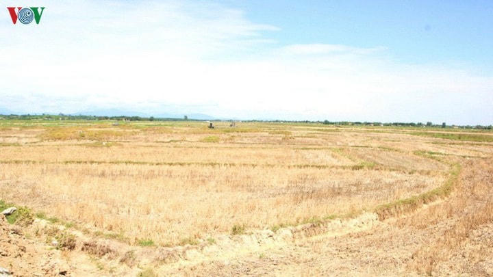 Cuối tháng 7, xuất hiện nhiều mưa dông làm nắng nóng dịu mát ở miền Bắc và miền Trung.