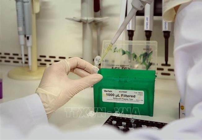 Mẫu xét nghiệm tại các điểm cộng đồng ở Gia Lai đều âm tính. Ảnh minh họa: TTXVN