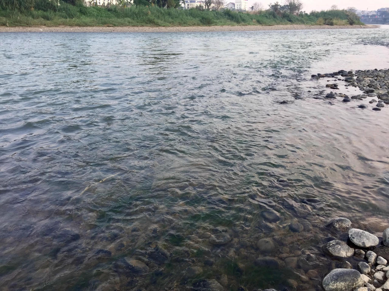 Các chuyên gia vẫn đang tìm hiểu để có thể đưa ra câu trả lời chính xác về nguyên nhân khiến dòng nước đỏ nặng phù sa, vốn đã đi vào thơ ca, đổi màu.