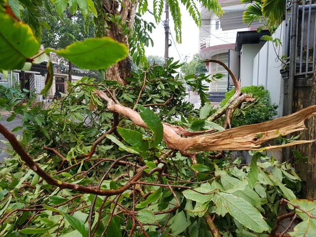 Bão chỉ gây ảnh hưởng nhẹ đến Quảng Trị.